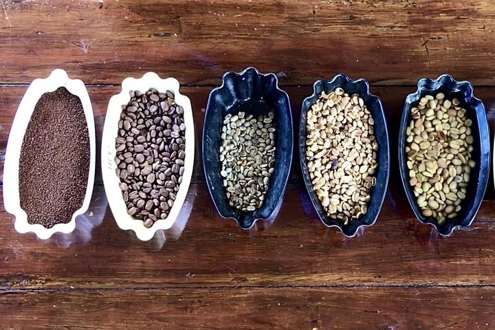 Blue Mountain Coffee Private Tour
